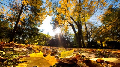 Тепло до 25 градусов ожидается на юге и юго-востоке Казахстана в выходные