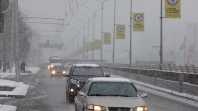 Создать в Казахстане лабораторию для краш-тестирования авто призвала депутат