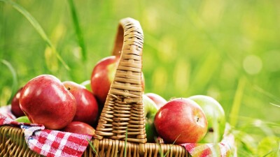 Какой будет погода в августе в Казахстане