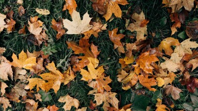 Прогноз на осень: октябрь и ноябрь будут теплее обычного в Казахстане