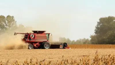 Началась уборка урожая:  Жумангарин поручил быстрее продать остатки зерна, чтобы освободить элеваторы