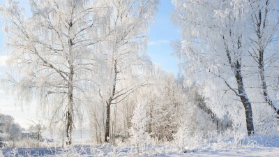 В Казахстане будет теплеть, снегопадов не ожидается