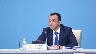 Ашимбаев: Бизнесу нужны долгосрочные и понятные правила игры