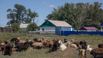 Министр Карашукеев: Ситуация в сёлах Казахстана приводит к росту социального недовольства