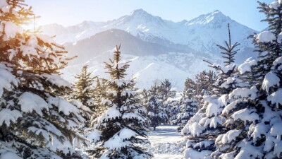 Ясную морозную погоду прогнозируют на большей части Казахстана