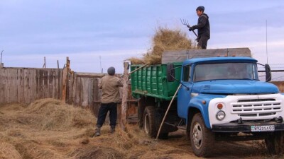 Подворовой обход аулов организует партия Amanat