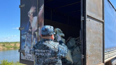 1,3 тонны мусора вывезли с берегов Есиля в Астане за день