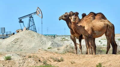 Токаев: Когда кончится нефть, ситуация в Мангистауской области может серьёзно ухудшиться