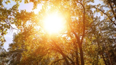 До 30 градусов тепла ожидается в некоторых регионах Казахстана на выходных