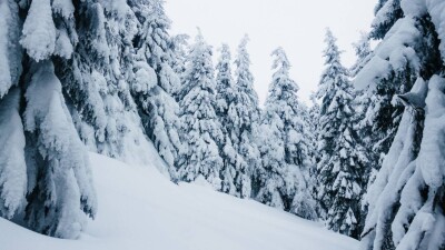 В предгорьях на юге пройдёт сильный снег. Какой будет погода в Казахстане в выходные
