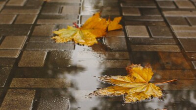 Холодные ночи, дожди и туманы. Какой будет погода на выходных в Казахстане