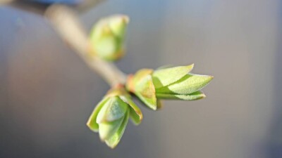 «Казгидромет»: выходные порадуют весенней погодой