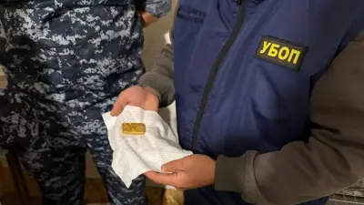 Драгоценные металлы нелегально добывали в ВКО