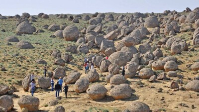 Сенатор: Продажу уникальных круглых камней из Мангистау поставили на поток