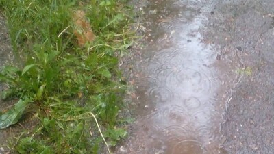 Дожди с грозами на юге Казахстана и ясная погода на севере ожидаются на выходных