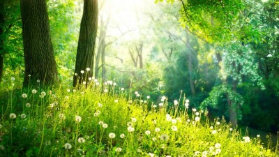 Резкое потепление прогнозируют в Казахстане