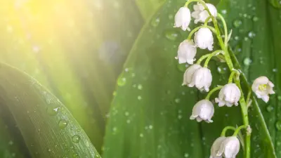 К выходным жара ослабнет в северной половине Казахстана