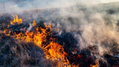 Массовая гибель в горящем лесу: по делу о трагедии в "Семей орманы" вынесли приговор