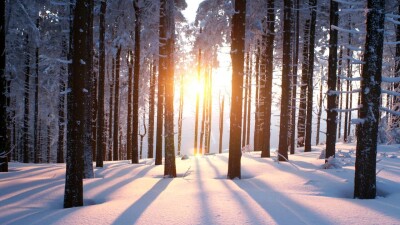 Потепление прогнозируют в ближайшие дни в Казахстане