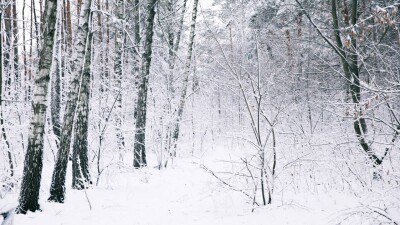 Морозы до -29 градусов прогнозируют на севере, востоке и в центре Казахстана