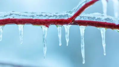 Заморозки и сильный ветер с осадками прогнозируют в Казахстане