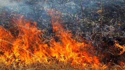 В Карагандинской области локализовали пожар, охвативший и соседний регион