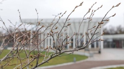 Потепление до 13 градусов тепла прогнозируют синоптики в некоторых регионах Казахстана