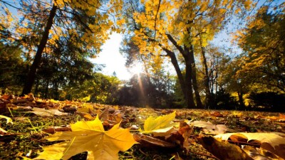 Синоптики: в Казахстане потеплеет до +30°C