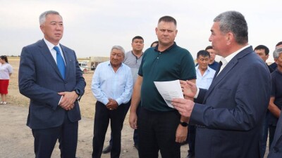 Правительство предложило производителям лука стабилизировать цены