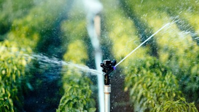 Узбекистан направит Казахстану 922 млн кубометров воды в поливной сезон