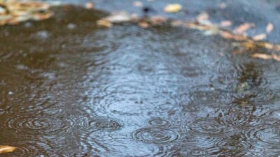 Потепление на всей территории Казахстана прогнозируют синоптики