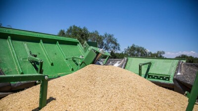Российское зерно на 500 млн тенге под видом казахстанской продукции ввезли в Узбекистан
