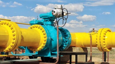Австрийский нефтяной гигант ответил на инициативу России о переводе расчётов за газ на рубли