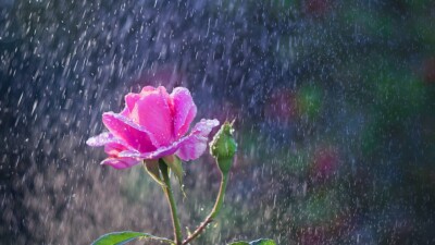 Ливни, ветер и прохлада: о погоде в ближайшие дни рассказали в "Казгидромете"