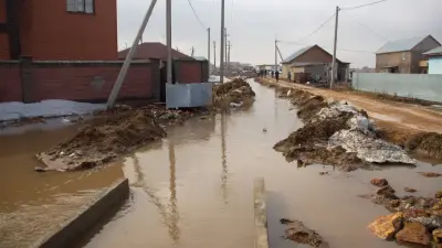 На реконструкцию дамбы в Тепличном, которое эвакуировали из-за паводков, выделили 1,4 млрд тенге
