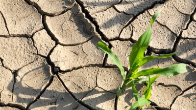 Площадь засухи в июле будет больше, чем ожидалось – Казгидромет