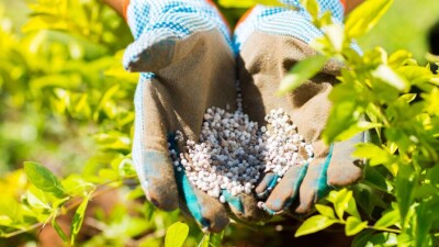 Казфосфат получил 697 млн тенге дохода от завышения цен