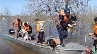Паводки в Казахстане: более 31 тысячи человек вернулись в свои дома