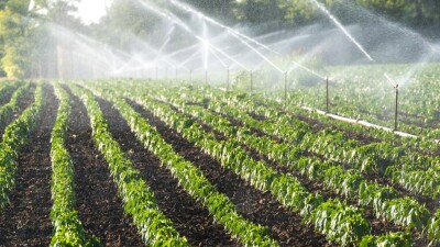 Экономить воду призвали аграриев Жамбылской области из-за недостаточного наполнения рек Шу и Талас