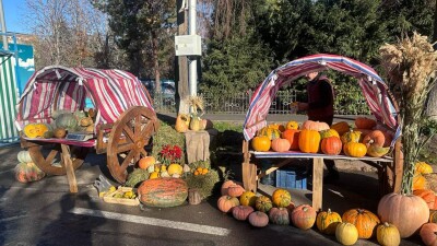 Фермеры с востока Казахстана привезут продукцию на ярмарку в Алматы