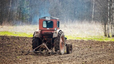 В Костанайской области заявки аграриев на субсидии рассматривали месяцами вместо 14 рабочих дней