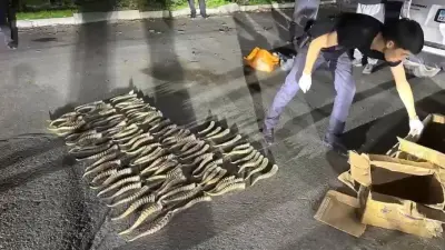 Сайгачьи рога на 540 млн тенге нашли в машине жителя Темиртау