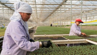 Кредиты до 5 млрд тенге предоставят сельским предпринимателям