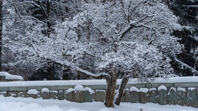 Апрель закончится снегом в некоторых регионах Казахстана