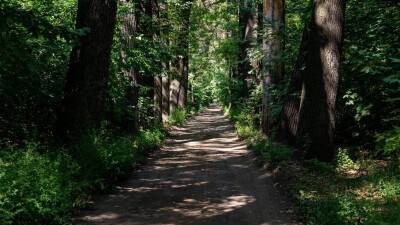 Когда начнут благоустройство БАКа, рощи Баума и Терренкура в Алматы