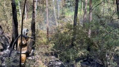 Огонь от пожара в Абайской области едва не сжёг село Талица, но его удалось потушить