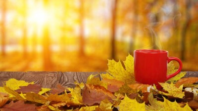 Потепление до 25 градусов прогнозируют в Казахстане