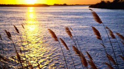 Браконьеры пытались потопить лодку с егерями в Алматинской области