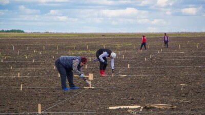 Атамекен: К весенней страде готовы только 55% фермерских хозяйств