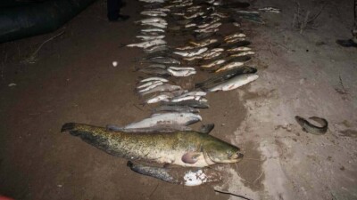 Улов оказался краснокнижным: по 6 лет тюрьмы получили браконьеры из Туркестанской области